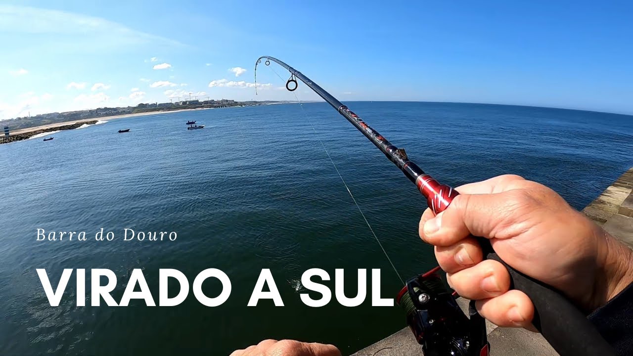 Só Uma Captura... e a Cana Partiu! | Pescaria na Barra do Douro 🇵🇹
