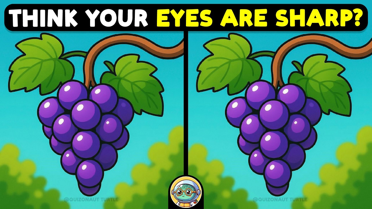 🐢🧩 Find The Difference | Are You Sharp Enough? 🧩🐢 | Quizonaut Turtle