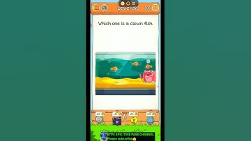 BRAINDOM 2 LEVEL 290 WALKTHROUGH