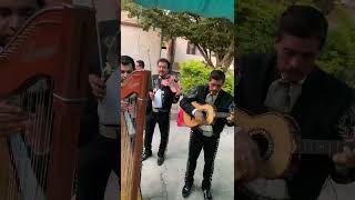 MARIACHI FIESTA EN JALISCO DE EL GRULLO Video 3