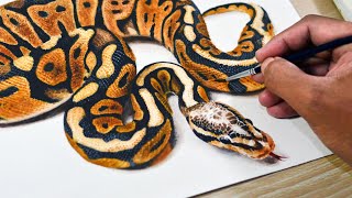 Painting a Realistic Snake in Watercolor