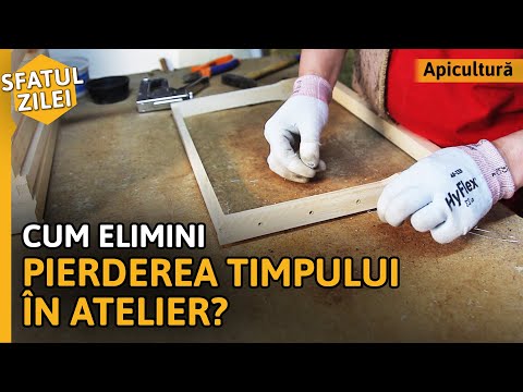 Video: Cum Să Eviți Pierderea Timpului