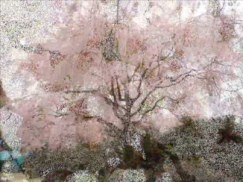 桜色舞うころ～愛してる～WILL (中島美嘉)-[pf-BGM]