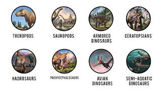 Every Type of Dinosaurs Explained in 11 Minutes Simple Clear