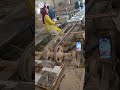 tiles factory process with premium design #tiles #premium #homedecor