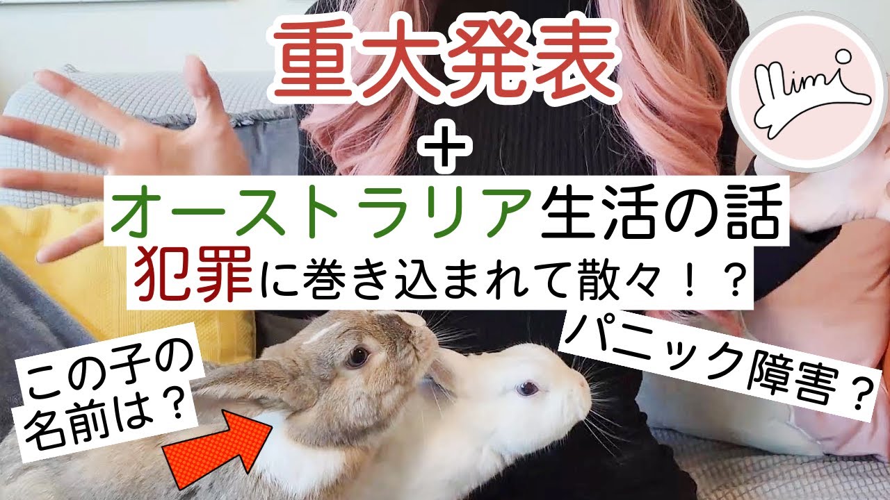 重大発表＆オーストラリアのクレイジーな話