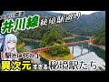 【大井川鉄道】アプト式の鉄道路線:井川線秘境駅巡り【VOICEROID鉄道】