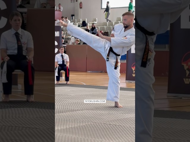 WKB Spanish Open 2026 #kyokushin #shinkyokushin #karate #1kyokushin #一極真 #極真会館