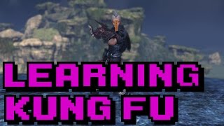 Learning Kung-Fu (Blade and Soul) screenshot 1