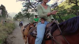 Cabalgatas Guiadas - Horseback Riding