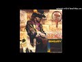 Zeno - Surviving the Night (1995)