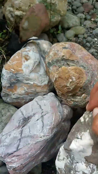 #suiseki #stone #unique