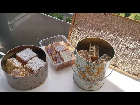 طريقة تقطيع العسل مع الشمع بدون ان يخرب