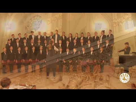 რ. შუმანის სახ. ევროპული სასაწავლებელი საგანმანათლებლო პროგრამა „ანი-Zet“-ის მოსწავლეთა გუნდი