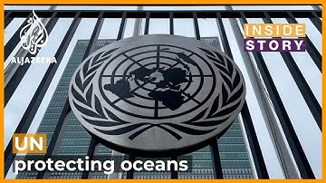How should the High Seas be protected? | Inside Story