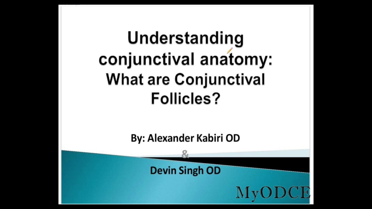 What are Conjunctival Follicles?
