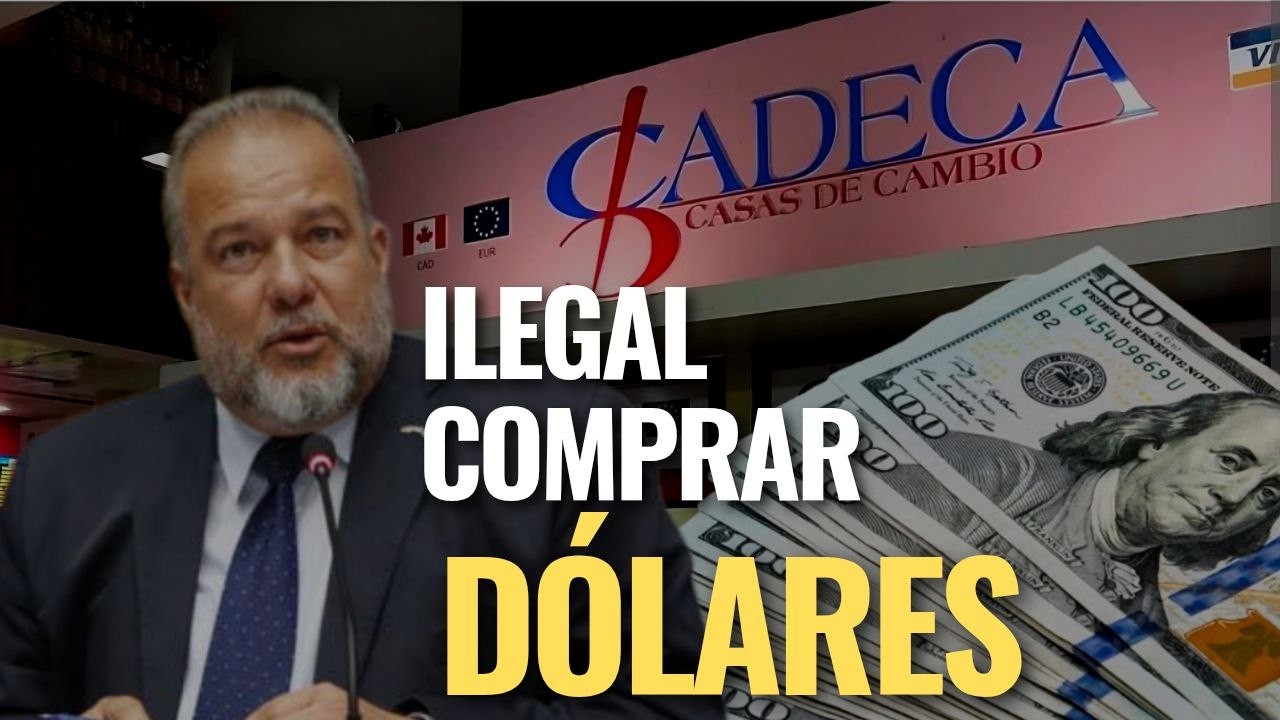 ¿Será ILEGAL comprar DÓLARES? ¿Otra vez el gobierno perseguirá a los vendedores de dólares?