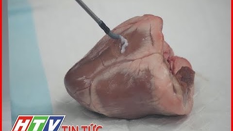 ROBOT HỖ TRỢ IN 3D SINH HỌC | HTV TIN TỨC