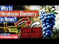 Why Is Extinct Himalayan Blueberry in News? | Arunachal’s Lost Species Return | StudyIQ IAS English