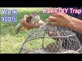 Best Creative Trap For Shikra And Sparrowhawk || Wildlife Today