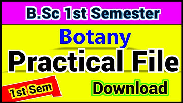 B.Sc NEP First Semester Botany practical file with pdf Link | BSc 1st Semester