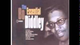 Bo Diddley - You Cant Judge A Book By The Cover