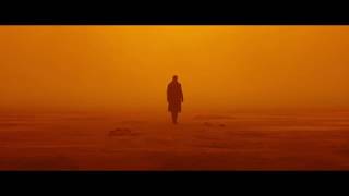 2017 | Favourite Shots