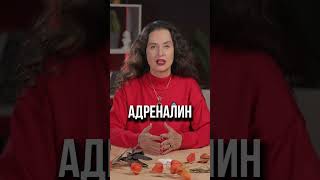 Как работать с гневом? Лучший совет