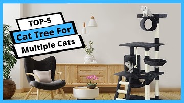 ✅ Best cat tree for multiple cats: Cat tree for multiple cats (Buying Guide)