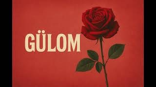 Gülom - Engin Nurşani Psychedelic Anatolian Rock Cover