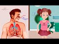 الجهاز التنفسي (1) - جسم الإنسان - أجهزة الجسم - الحلقة الخامسة