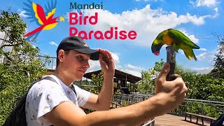 Singapore's Best Park Just Opened in Mandai! ESSENTIAL INSIGHTS – Bird Paradise