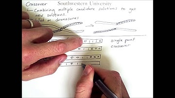 Crossover in Evolutionary Computation