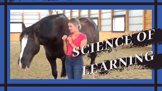 Download Lagu How Horses Learn With Callie King ~ The Art Of The Horseman ~ MP3 Download Lagu How Horses Learn With Callie King ~ The Art Of The Horseman ~ MP3