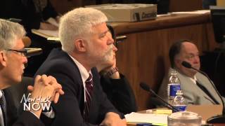 DEC Hearing on NEW YORK NOW