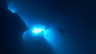 Diving Palau 4k