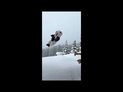 Блогер Сергей Косенко