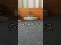 うさぎダンス３ Rabbit Dance