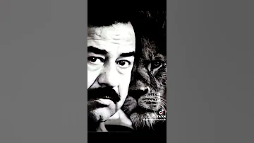 يلاكونة لو بيهم زود تسجيل دخول مرعب للقائد صدام حسين ستوريات أنستا HD 
