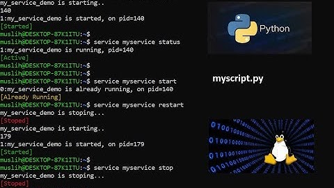 How to run python script using service in linux