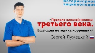 Пролапс слезной железы третьего века. Методика коррекции