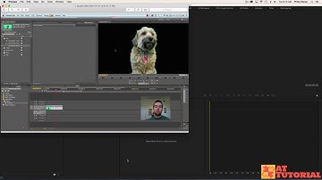 Adobe Premiere Pro CC tutorial - How to Customize the Workspace