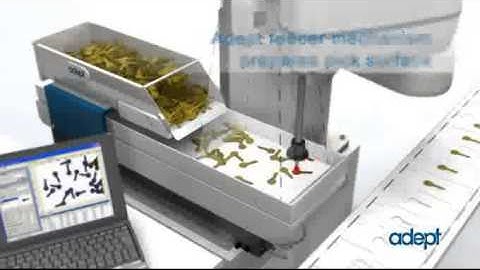 Adept Cobra Anyfeeder - HASMAK A.Ş.