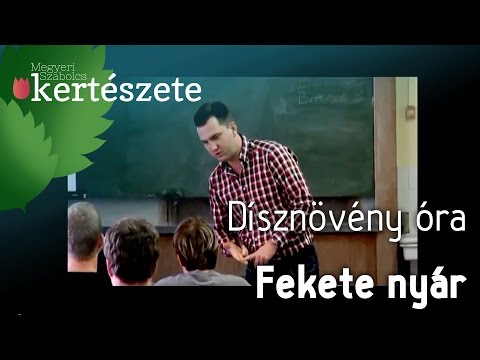 Videó: Hogyan Lehet Megkülönböztetni A Nyárfát A Nyárfától? 15 Fénykép Mi A Különbség A Remegő Nyár és A Közönséges Nyár Között? A Kéreg és A Levelek Különbségei Nyáron, Egyéb Különbségek