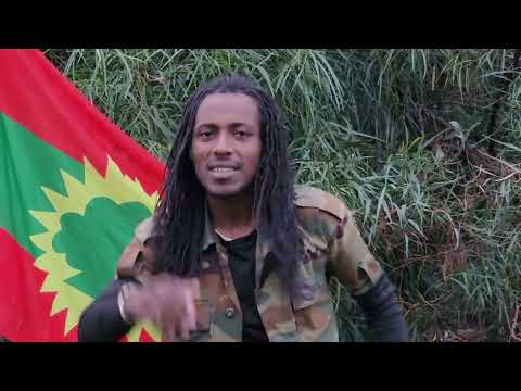 JAAL DAARAARAA KABBADAA IYYISIISI DAWWEE Oromo Neworomomusic Music