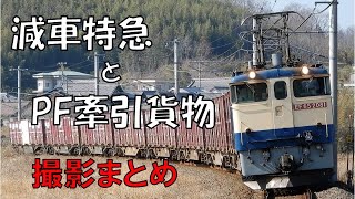 撮影まとめ JR四国8000系 特急しおかぜとEF65牽引貨物列車 予讃線 詫間～みのにて　2022/02/27