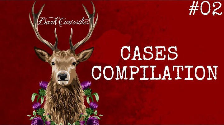 Cases Compilation #02