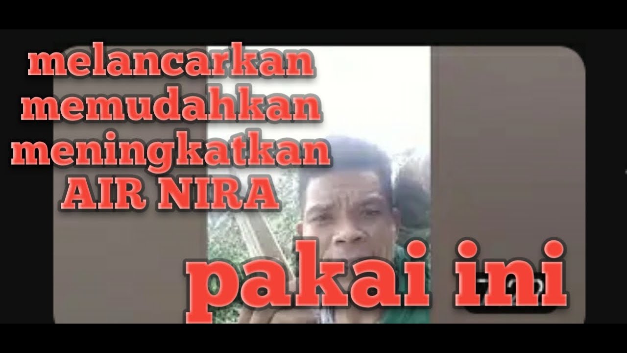 membantu melancarkan Nira aren 'pasang pen kayu dibelakang Manggar kolang Kaling