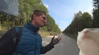 видео: Двигаюсь по лесной дороге в дремучем лесу! Дальняк на Ситикоко White Siberia 2wd картинка: Двигаюсь по лесной дороге в дремучем лесу! Дальняк на Ситикоко White Siberia 2wd