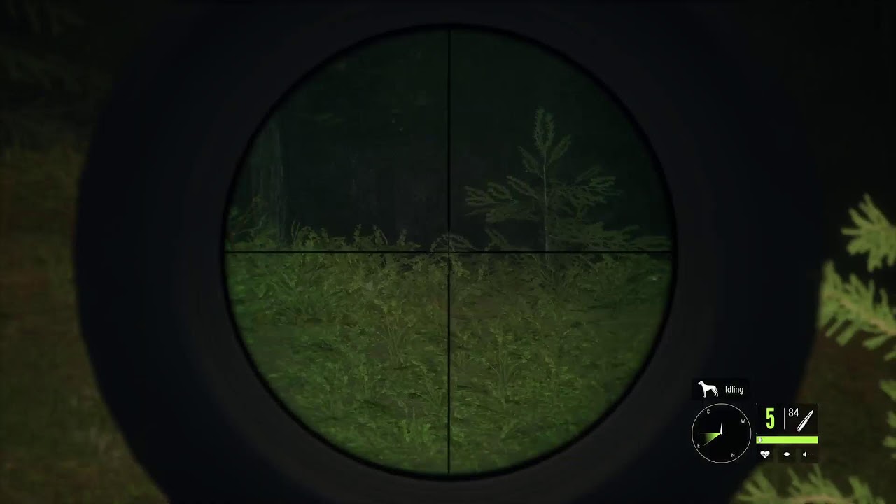 The Hunter call of the wild  hunting for  Animals